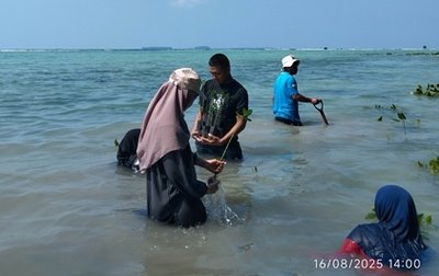 Aksi Hijau HUT RI ke-80: ALW & LEVA Tanam Mangrove dan Transplantasi Karang di Pulau Tidung