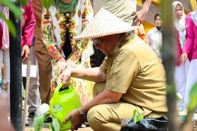 Pemkot Tangsel Tanam 2 Ribu Bibit Cabai dan Terong, Tersebar di 7 Kecamatan