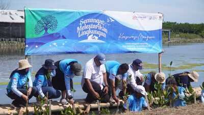 Sinar Mas Land Gelar Aksi Penanaman 5.500 Mangrove dan Pelepasan 100 Ekor Belangkas Tapal Kuda