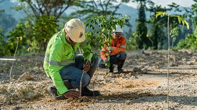 NHM Pulihkan 232,69 Hektar Lahan Bekas Tambang, Tegaskan Komitmen ESG