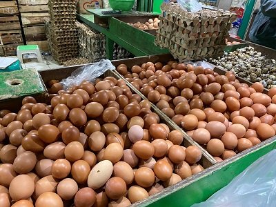 Kementan Perkuat Serapan Telur Peternak Rakyat Saat Produksi Melimpah di Magetan